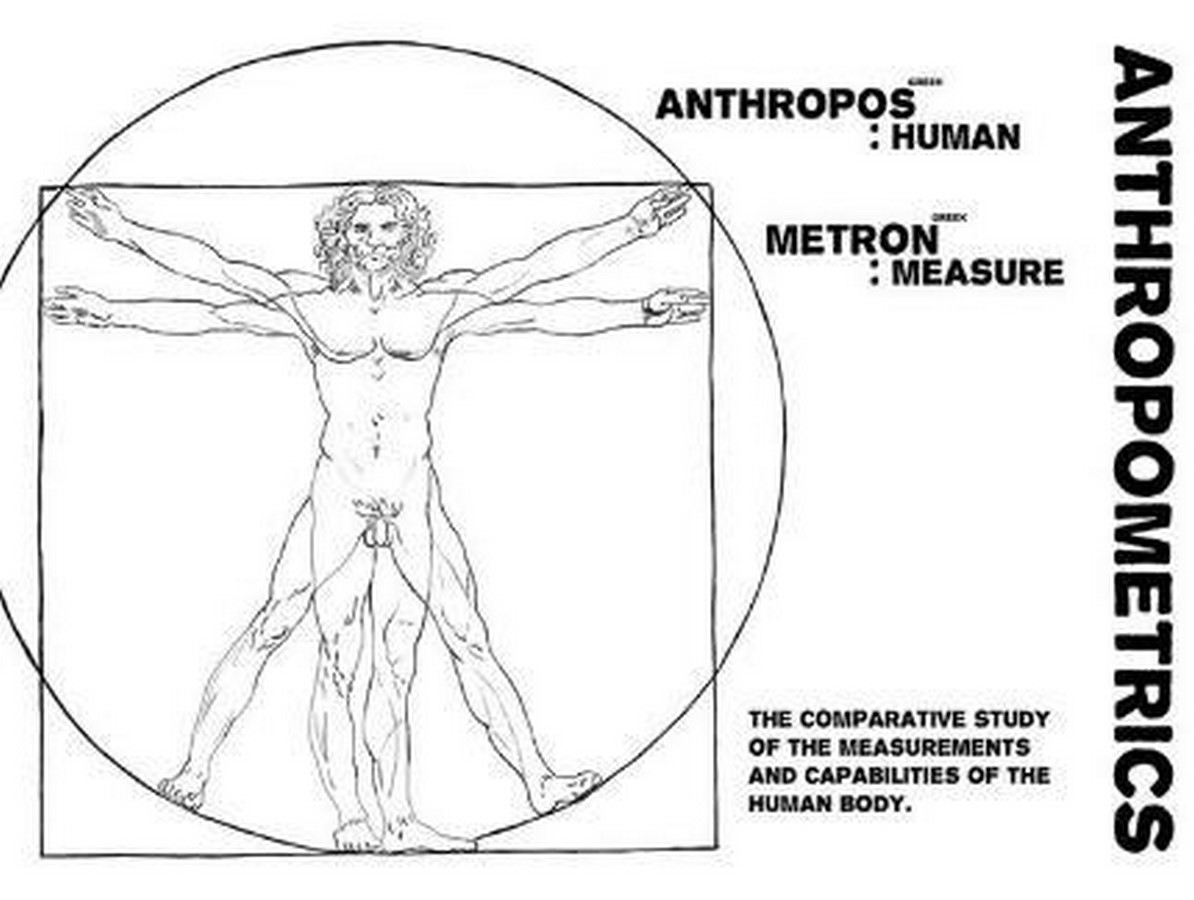 Anthropometry_ ©Canon of Proportions or The Proportions of Man by Leonardo da Vinci