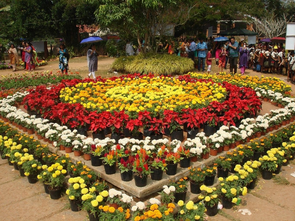 The flowering shrubs at the Kanakakkunnu Palace, which are part of the things people go to see here_https://www.tripadvisor.in/Attraction_Review-g297637-d3705730-Reviews-The_Kanakakunnu_Palace-Thiruvananthapuram_Trivandrum_Thiruvananthapuram_District_.html