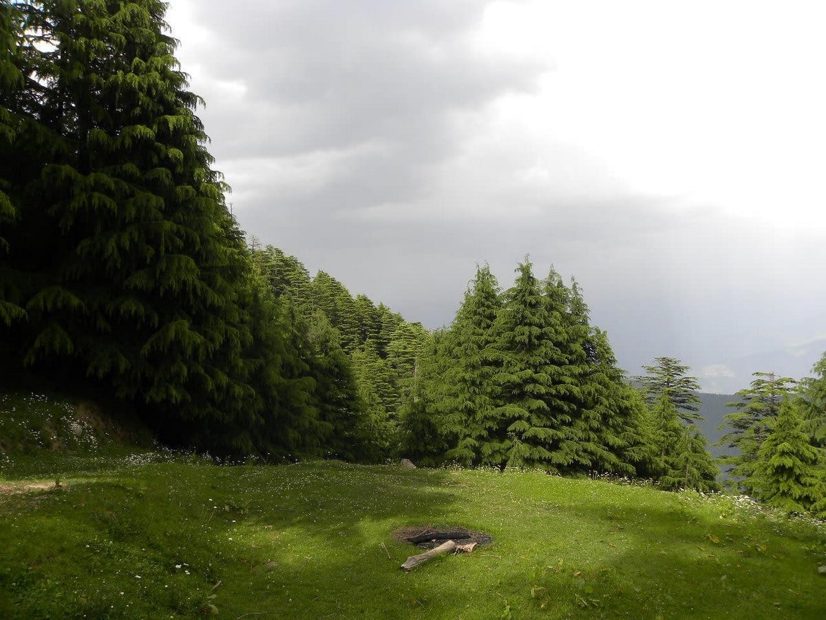 15 Places to Visit in Dalhousie for Travelling Architect - Sheet10