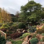 15 Places to Visit in Dalhousie for Travelling Architect - Sheet8