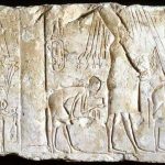 Museums of the World: Fitzwilliam Museum - Sheet5
