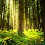 An overview of environmental economics - Sheet1