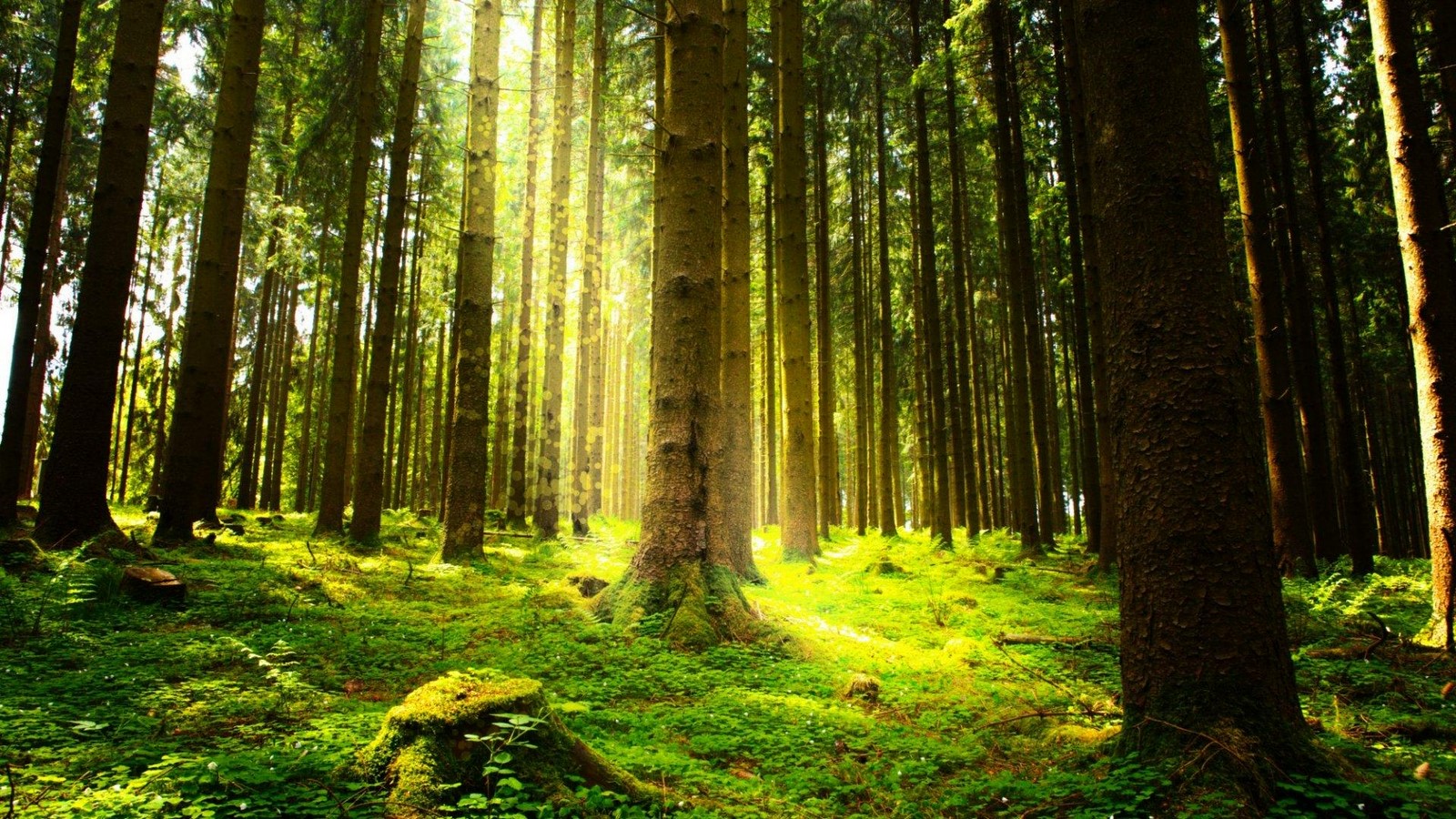 An overview of environmental economics - Sheet1