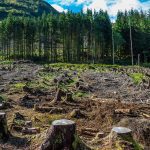 An overview of environmental economics - Sheet2