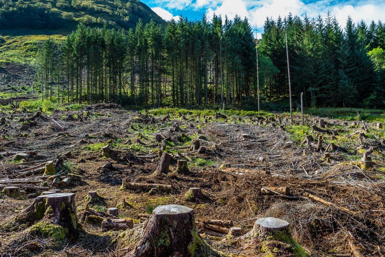 An overview of environmental economics - Sheet2