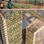 Architecture and its Perception - Sheet17