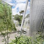 Silva by Duncan Lewis Scape Architecture - Sheet2