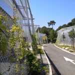 Silva by Duncan Lewis Scape Architecture - Sheet6