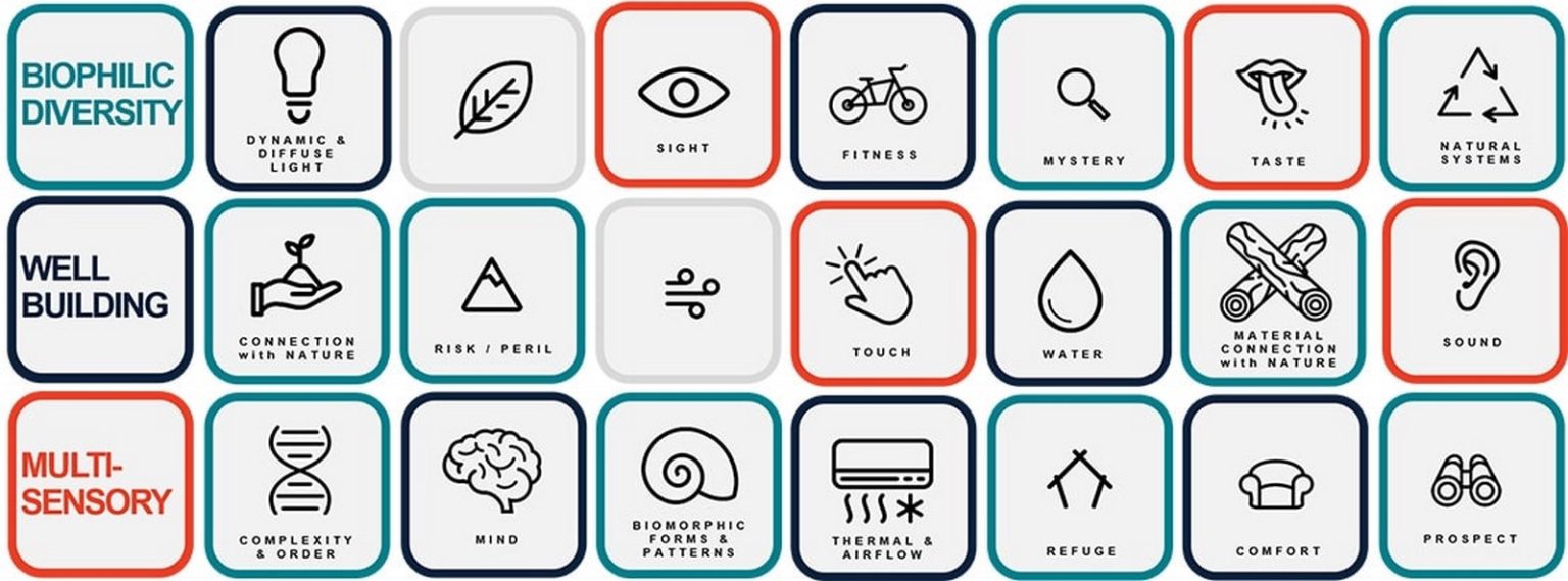 What is Architectural Psychology? - RTF | Rethinking The Future