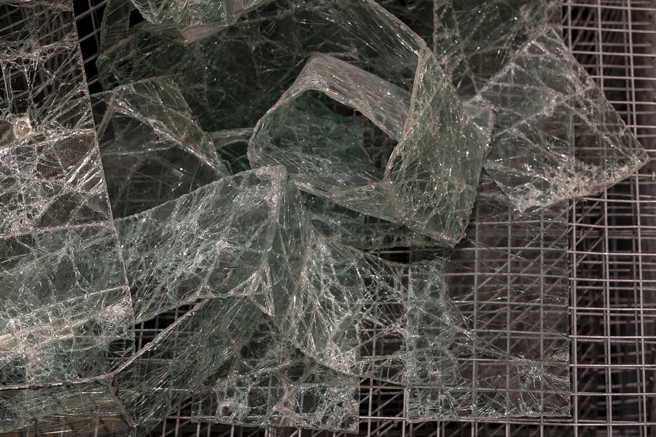 Edoardo Tresoldi Installation: The Historic Column at Venice's Procuratie Vecchie - Sheet8