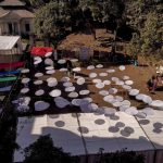 Campus life at Pulchowk Campus - Sheet1