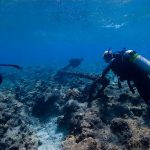 An overview of the Monte Cristi Pipe Wreck - Sheet1