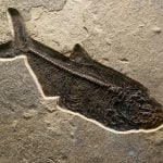 An overview of Underwater archaeology - Sheet1