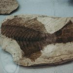 An overview of Underwater archaeology - Sheet2