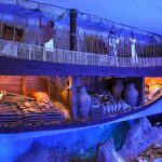 Lost in time: Uluburun shipwreck - Sheet1