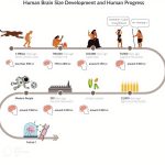 Into the Genesis-expanding the horizons of creative thinking - Sheet2