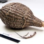 Lost in time: Mary Rose Shipwreck - Sheet6