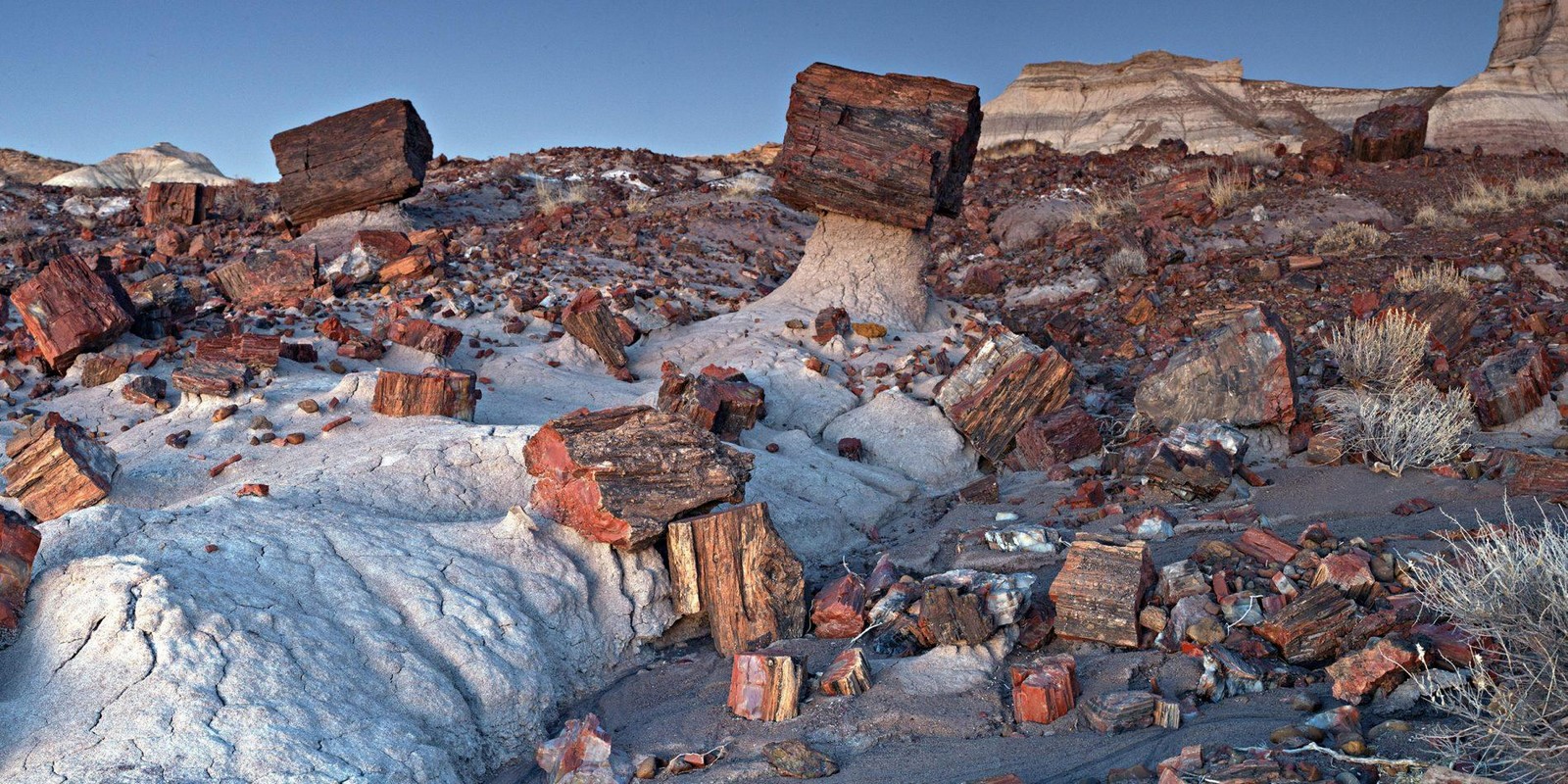 15 Places To Visit In Arizona for Travelling Architect - Sheet3