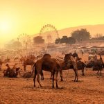 15 Places to Visit in Ajmer for Travelling Architect - Sheet37