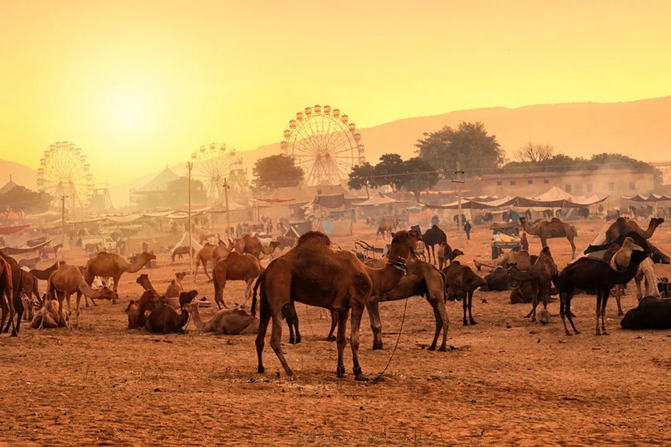 Pushkar Fair_©https://www.tourism.rajasthan.gov.in/pushkar.html.jpg?w=999