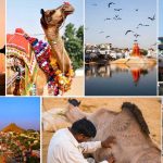 15 Places to Visit in Ajmer for Travelling Architect - Sheet39