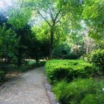 15 Places to Visit in Gurgaon for Travelling Architect - Sheet11