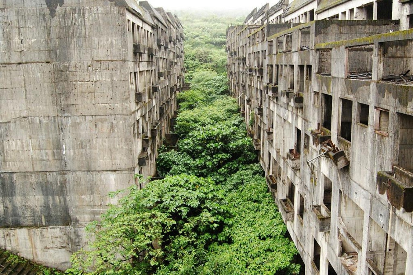 Nature overtaking after humans_