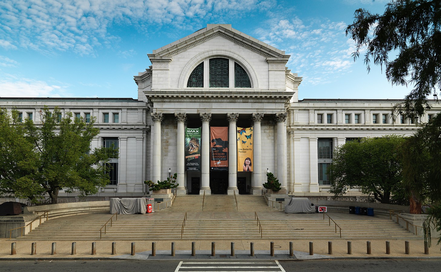Museums of the World: Smithsonian National Museum of Natural History - RTF | Rethinking The Future