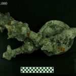 Lost in time: Queen Anne's Revenge, Shipwreck - Sheet9