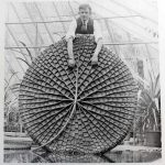 Lost in time: Crystal Palace, London - Sheet6