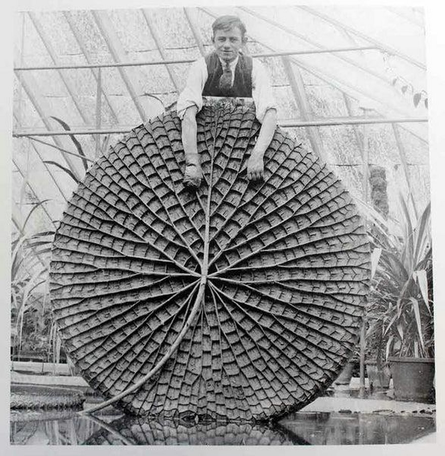 Lost in time: Crystal Palace, London - Sheet6