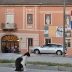 An architectural review of location: Bačka Topola - Sheet2