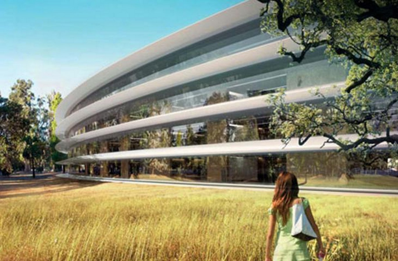 Relation between Norman Foster and Steve Jobs - Sheet3