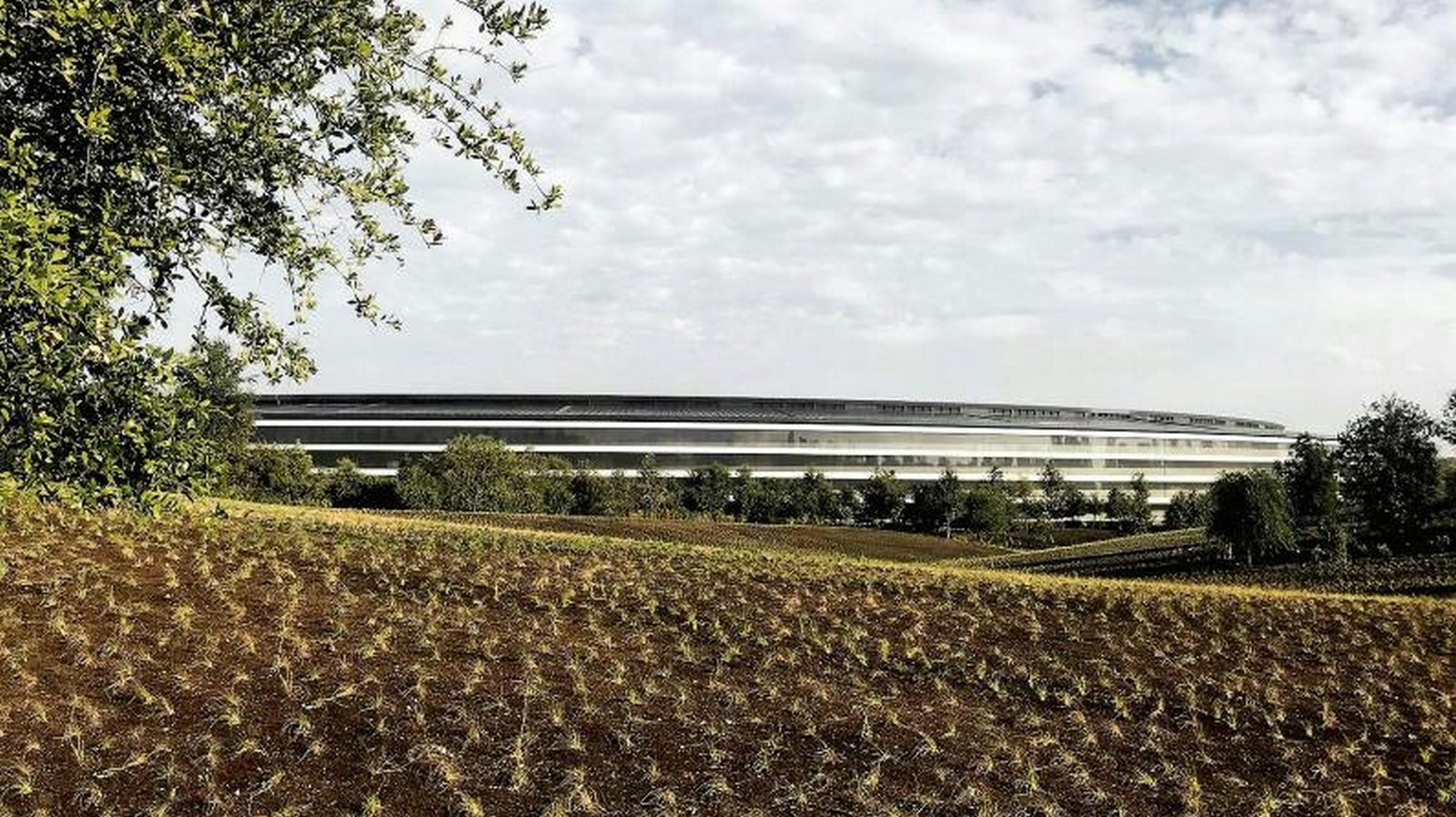 Relation between Norman Foster and Steve Jobs - Sheet4