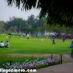 10 urban parks projects everyone should know - Sheet8