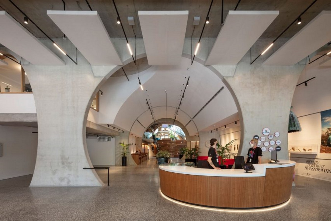 Linear tunnel of the Victorian Centre_https://www.dezeen.com/2022/07/21/australias-first-purpose-built-pride-centre-brearley-architects-urbanists-grant-amon-architect