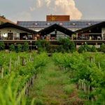 15 Places to Visit in Nashik for Travelling Architect - Sheet15