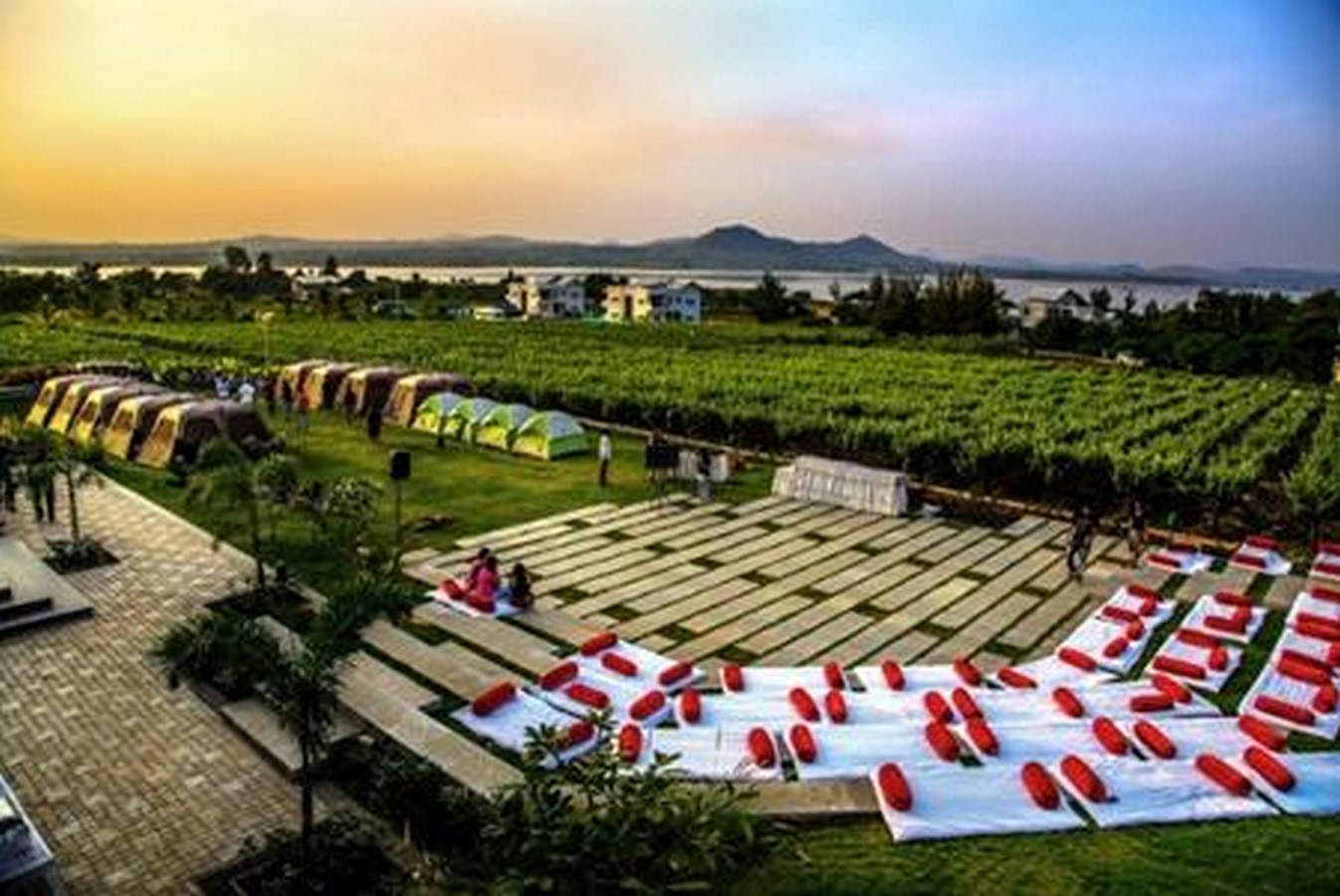 SomaWines _©www.justnashik.com