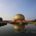 Human survival without architecture - Sheet5