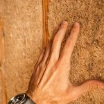 How is Biomimicry used in Architectural Design? - Sheet4
