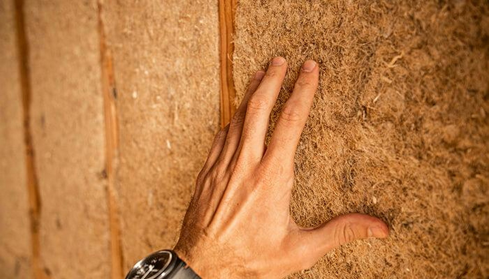 How is Biomimicry used in Architectural Design? - Sheet4