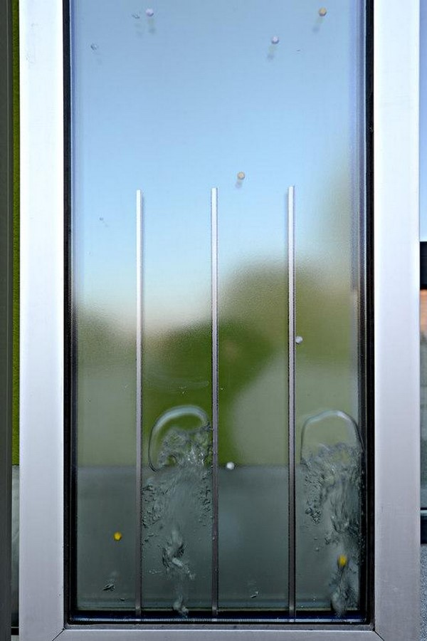 How is Biomimicry used in Architectural Design? - Sheet7