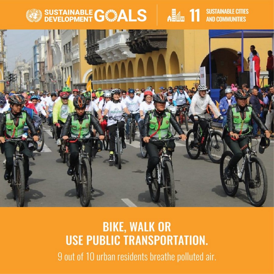An Overview the 17 SDG Goals. - Sheet12