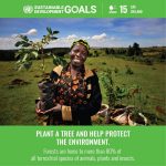 An Overview the 17 SDG Goals. - Sheet16