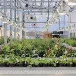 Food Systems in the future - Sheet3