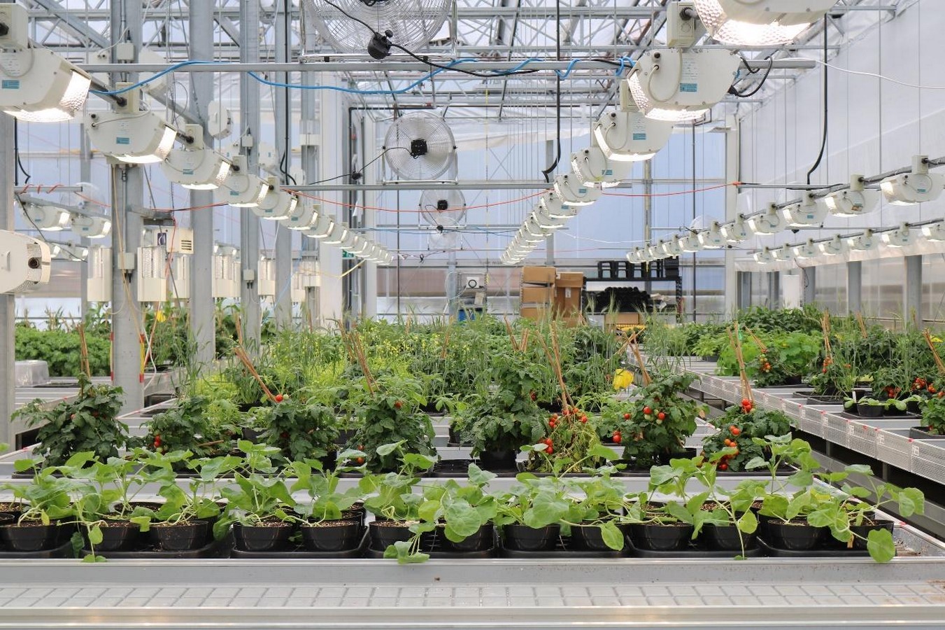 Food Systems in the future - Sheet3