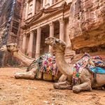 The camel trials of the world - Sheet1