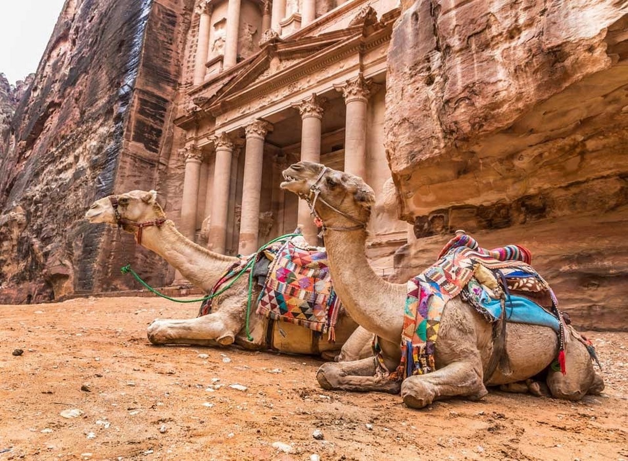 The camel trials of the world - Sheet1