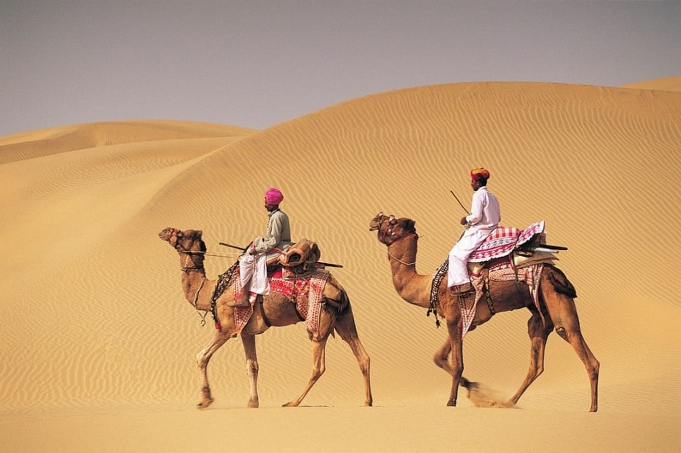 The camel trials of the world - Sheet2