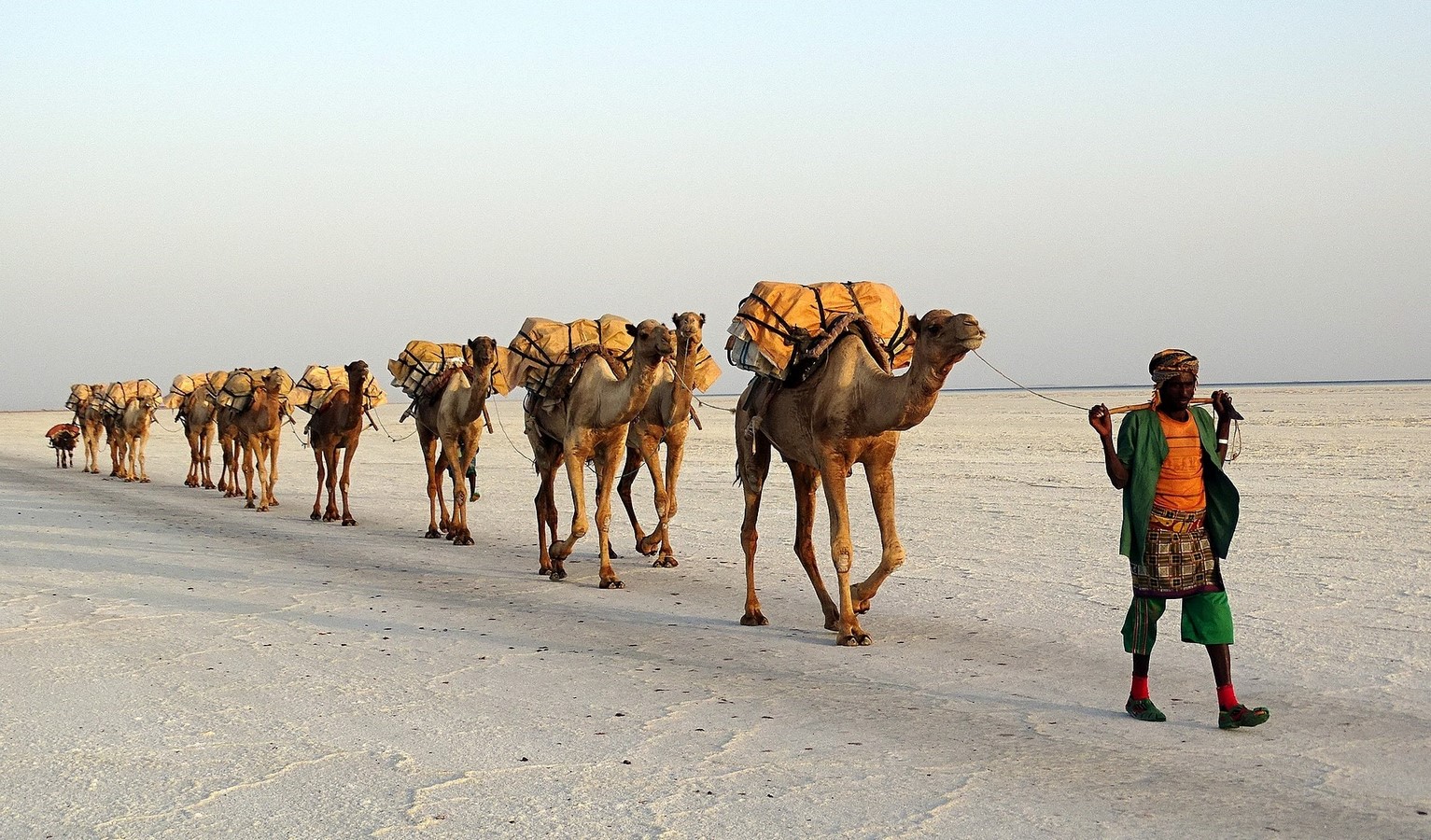 The camel trials of the world - Sheet3